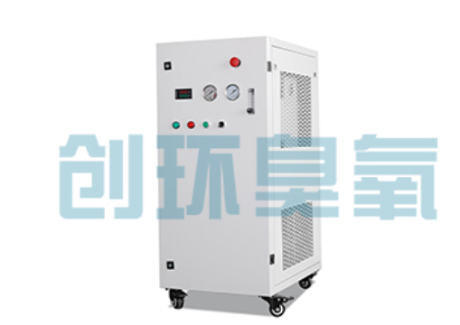 竞秀石斑鱼养殖水质调控完整指南：臭氧发生器配置与操作步骤