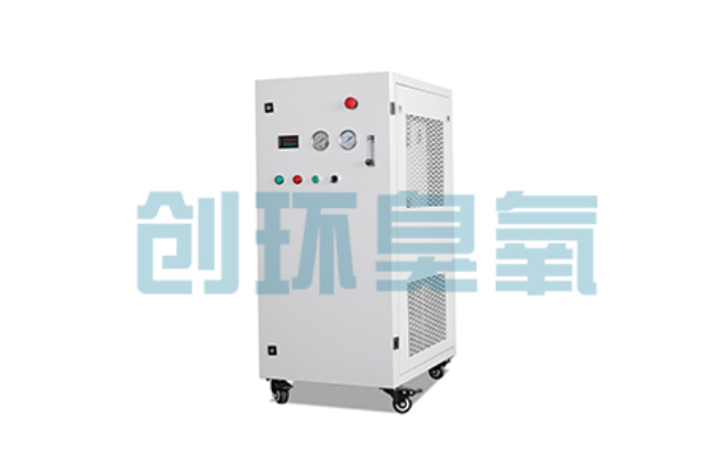 竞秀比传统换水更高效？臭氧发生器在石斑鱼养殖中的水质净化原理解析